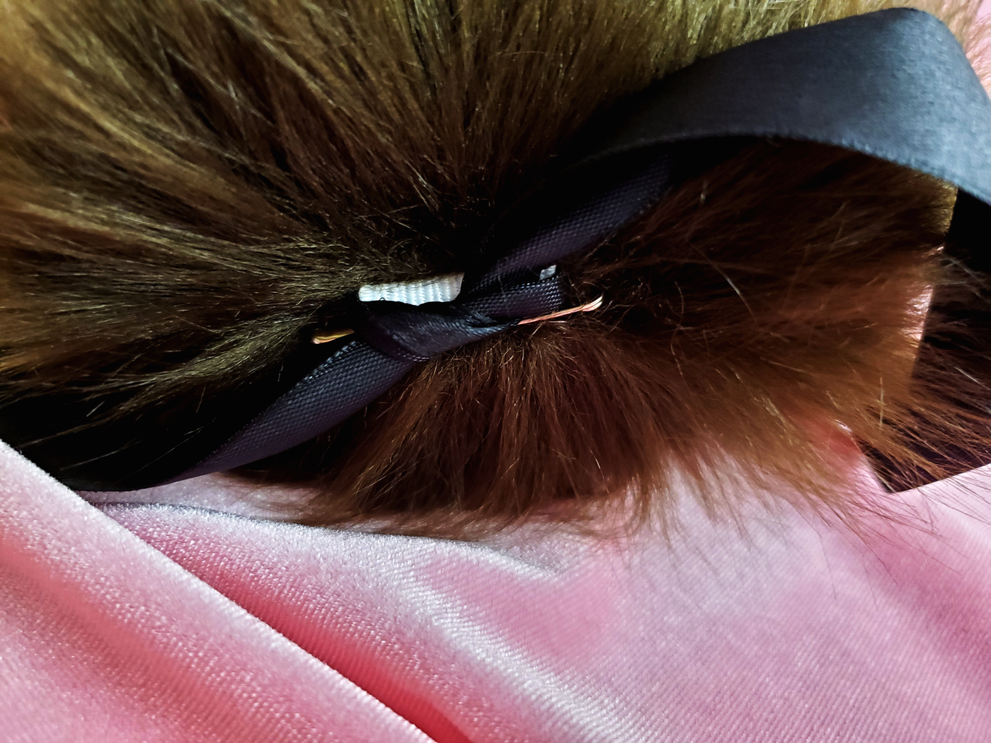 Custom Kitten Tail with Tip - Fluffy Paw Shop - Petplay BDSM DDLG Kitten Play Tail Cosplay Furry